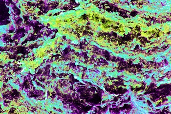 AP 156E1